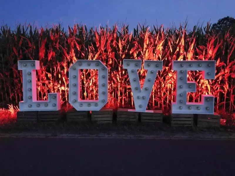 XXL Buchstaben "Love" für Hochzeit Mieten